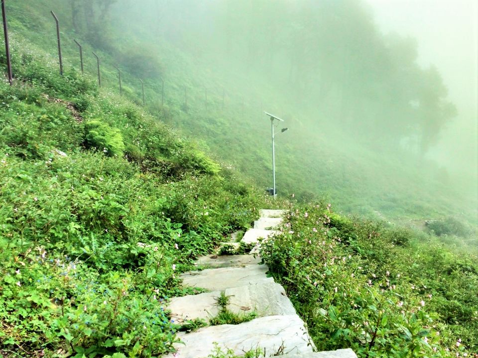 Photo of Exploring the unexplored Banjar Valley of Himachal Pradesh: 27/55 by Ashish Bhardwaj