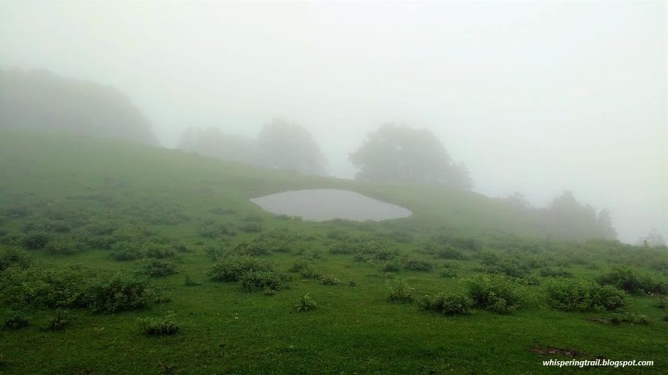 Photo of Exploring the unexplored Banjar Valley of Himachal Pradesh: 32/55 by Ashish Bhardwaj