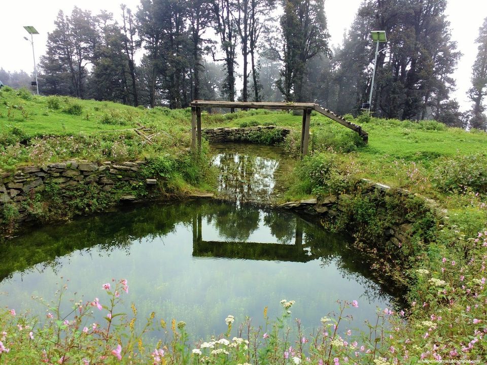 Photo of Exploring the unexplored Banjar Valley of Himachal Pradesh: 43/55 by Ashish Bhardwaj