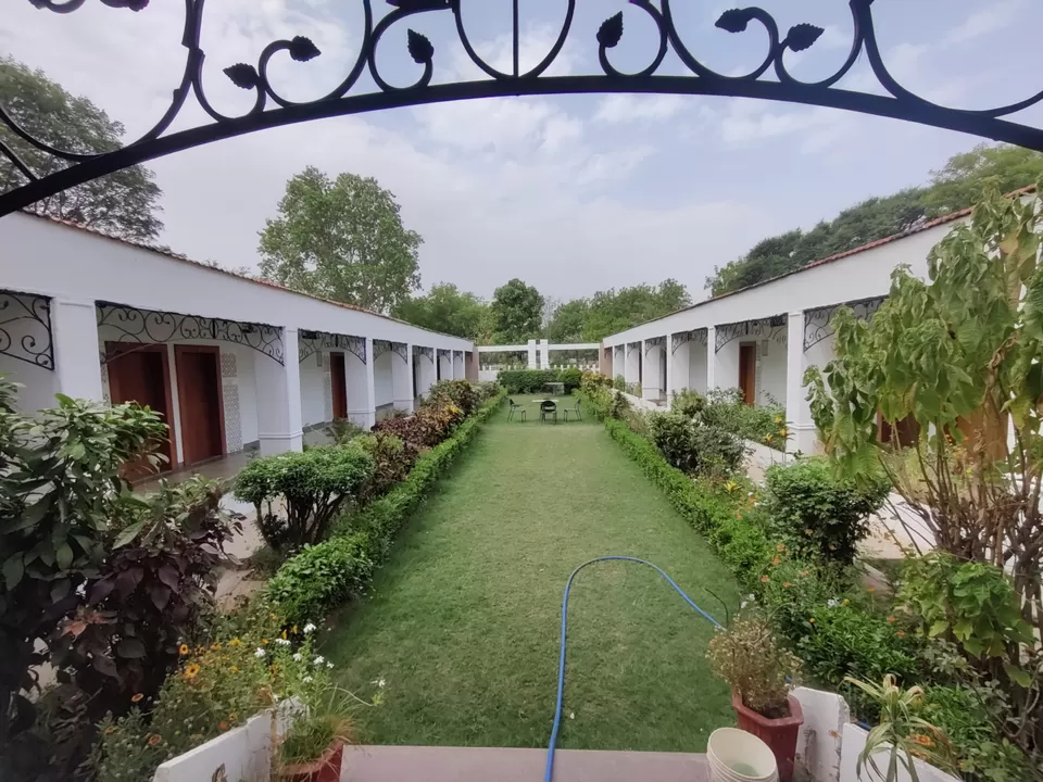 Photo of Amazing Trip by pooja upadhyay