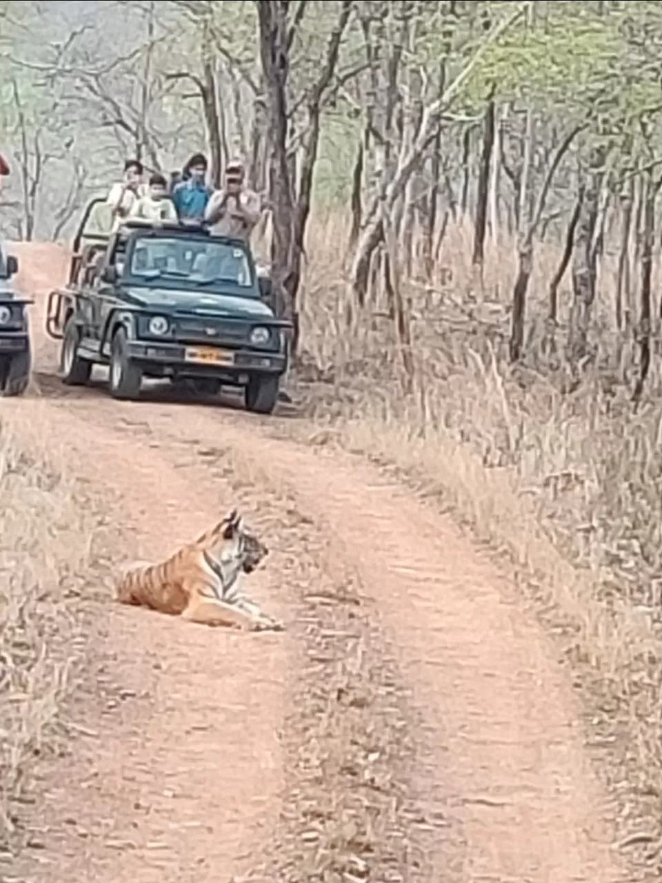Photo of Amazing Trip by pooja upadhyay
