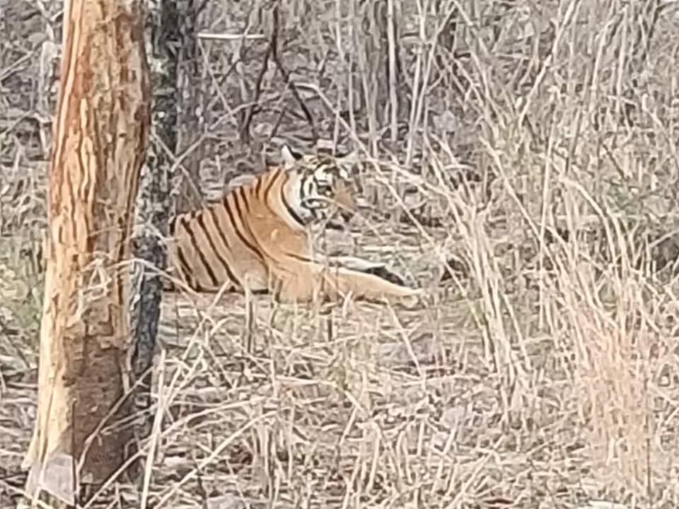 Photo of Amazing Trip by pooja upadhyay