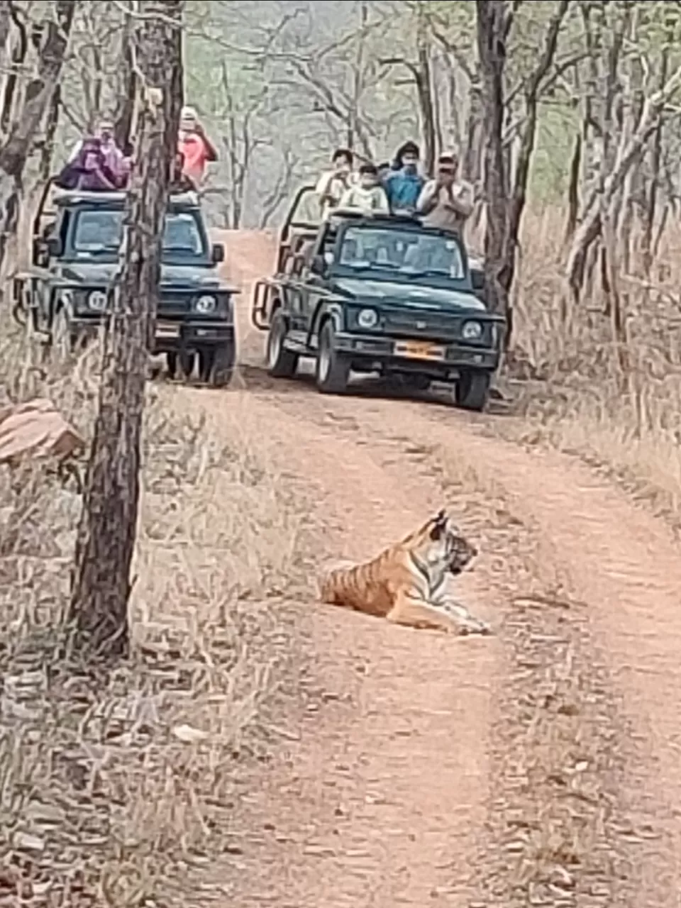 Photo of Amazing Trip by pooja upadhyay
