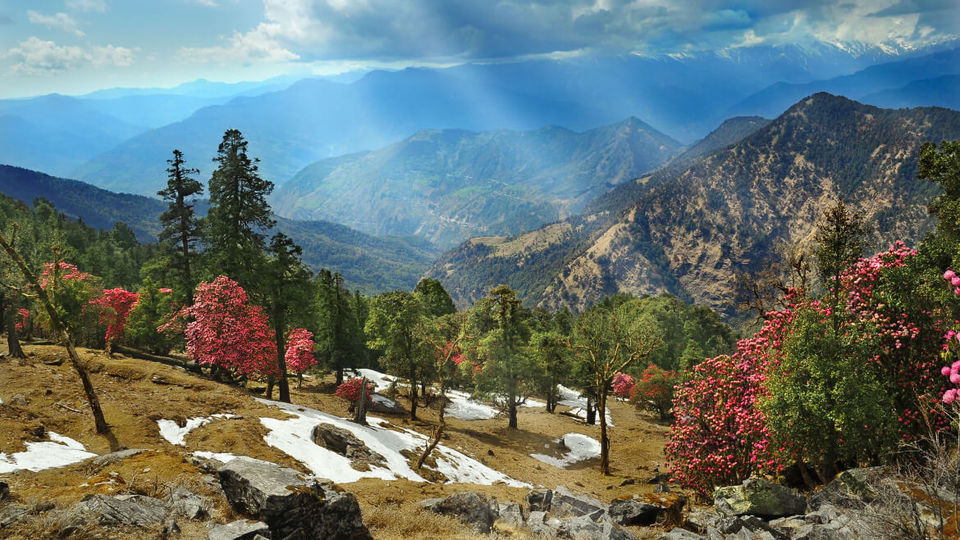 Photo of New Unkown Destination- Nagtibba by Shubham Sharma