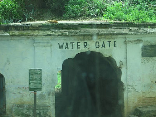Photo of Mysore - The Land That Boasts Royalty 1/3 by Akanksha Aggarwal