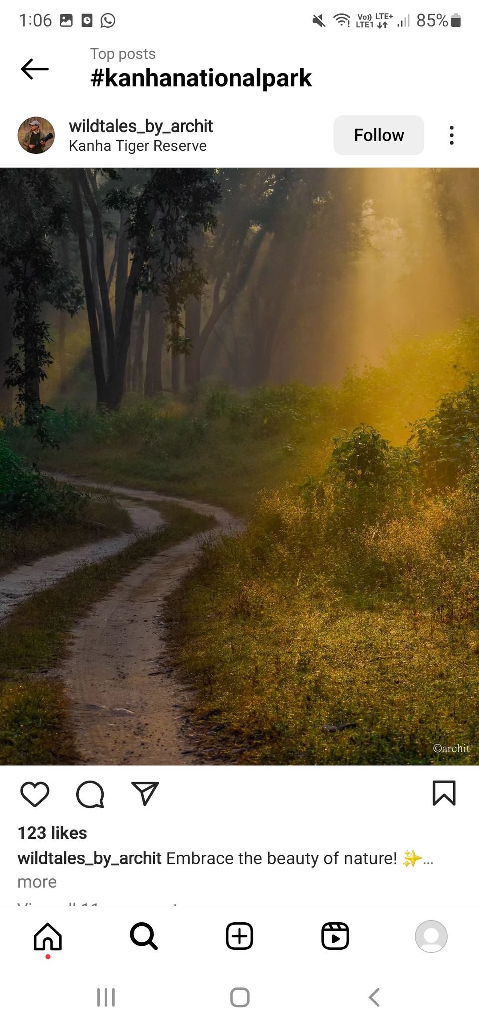 Photo of TADOBA : THE LAND OF TIGERS by Krusha Gala