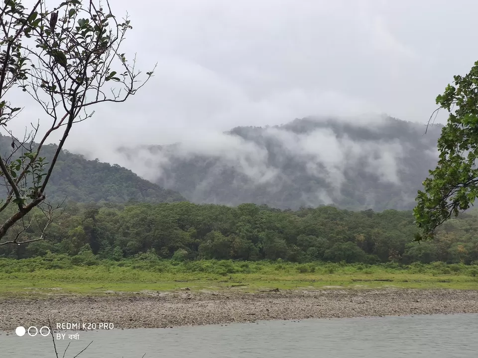 Photo of Manas National Park by Barkha Talukdar