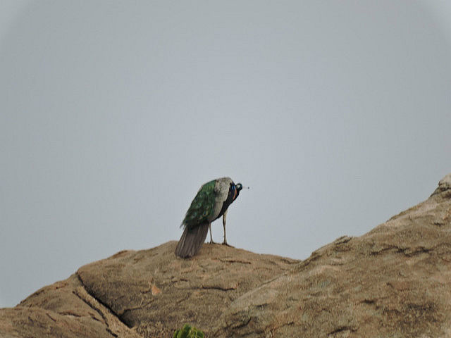 Photo of Hampi... yes, it exists! 15/37 by Rutuja Patil