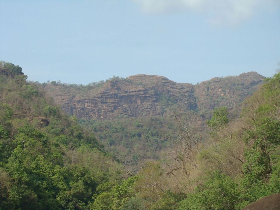 Photo of Satpura Tiger reserve 3/12 by Tempting Getaways