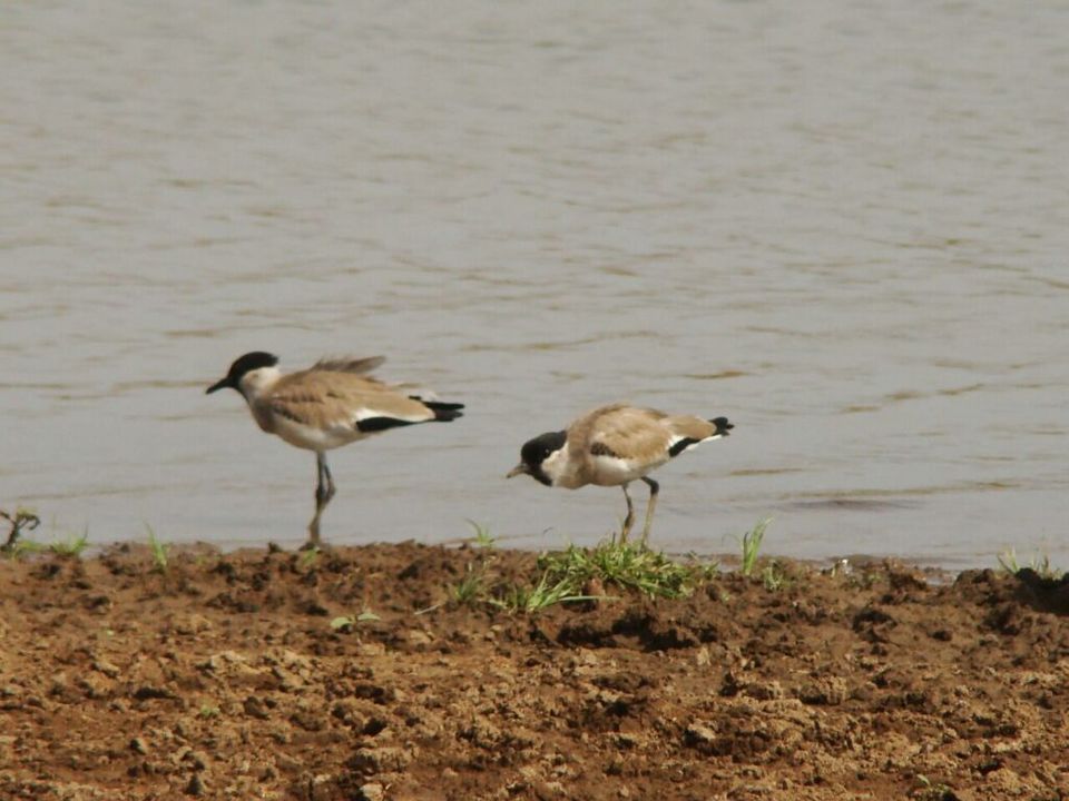 Photo of Satpura Tiger reserve 6/12 by Tempting Getaways