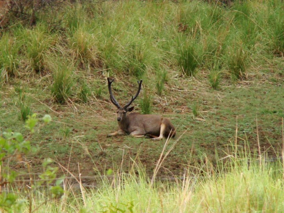 Photo of Satpura Tiger reserve 9/12 by Tempting Getaways