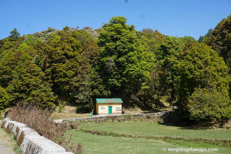 Photo of Binsar Wildlife Sanctuary, Binsar, Uttarakhand, India by Tempting Getaways