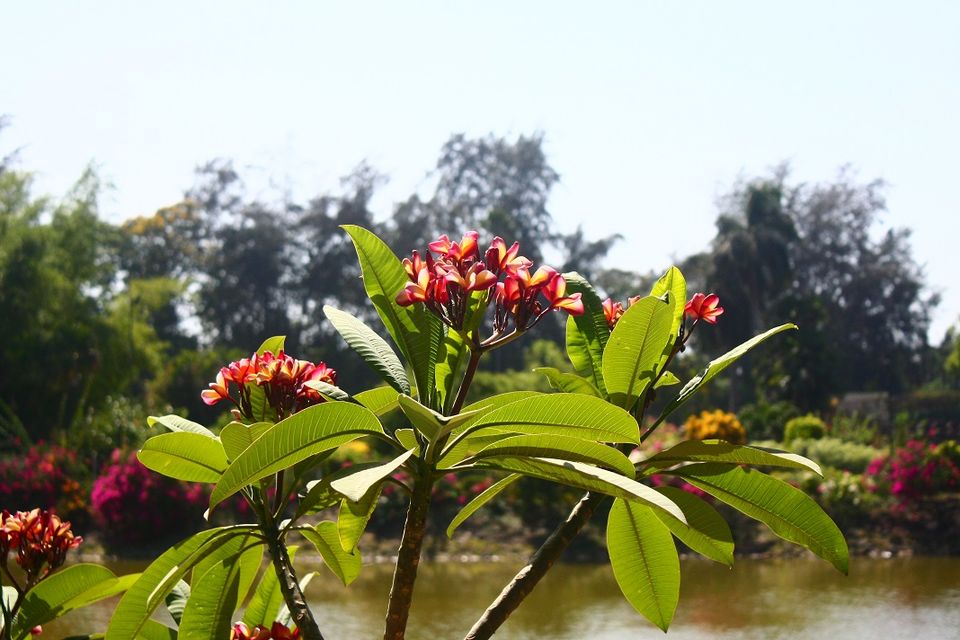 Photo of 2 States 2 UT's 2 Friends 1 Day - Mumbai Daman Silvassa Mumbai 54/65 by _itchyfeettrips