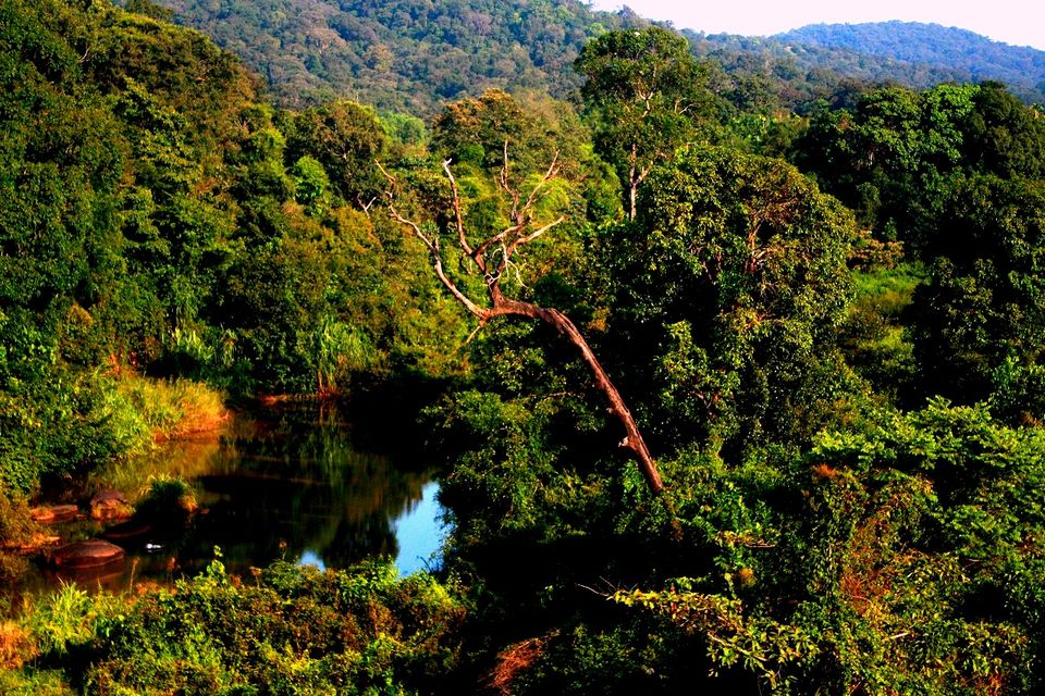 Photo of Jog Falls: Crazy 1450km 22hrs 2 friends 2 states 5/26 by _itchyfeettrips