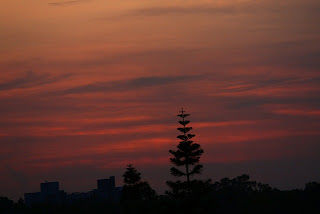 Photo of Mumbai Bangalore - Road trip 25/25 by _itchyfeettrips