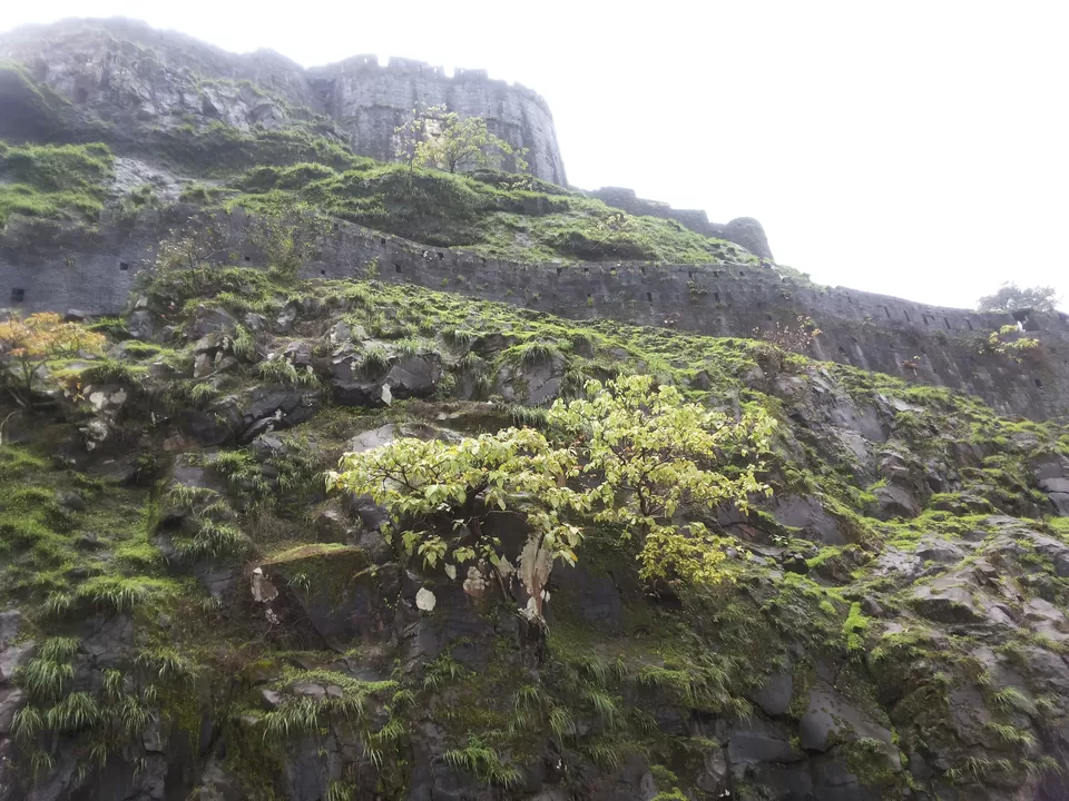 Photo of Lohagad, Maharashtra, India by _itchyfeettrips