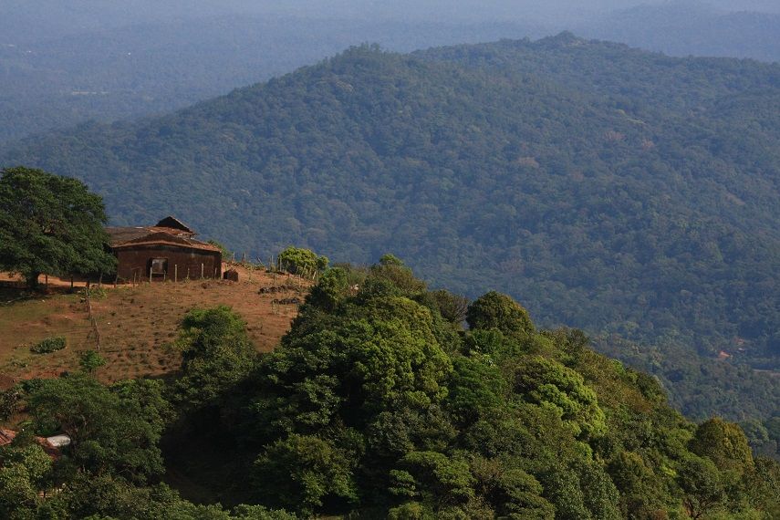 Photo of TalaCauvery - Serene place among hills 13/33 by _itchyfeettrips