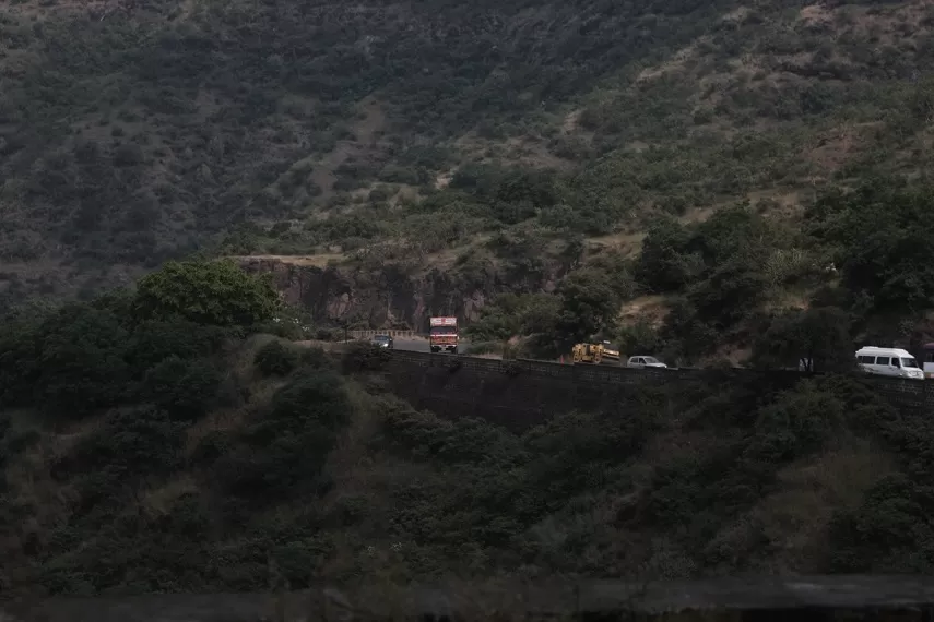 Photo of Kaas Plateau of Flowers, Satara, Maharashtra, India by _itchyfeettrips
