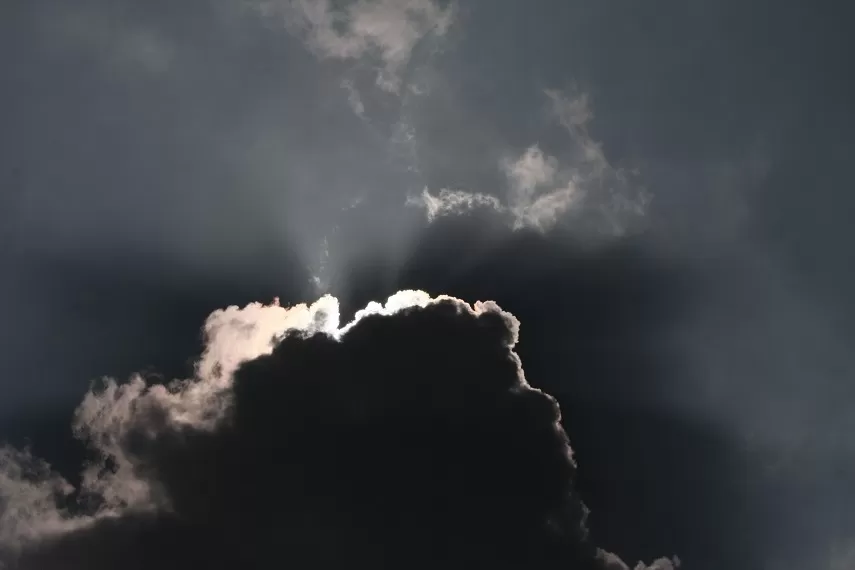 Photo of Kaas Plateau of Flowers, Satara, Maharashtra, India by _itchyfeettrips