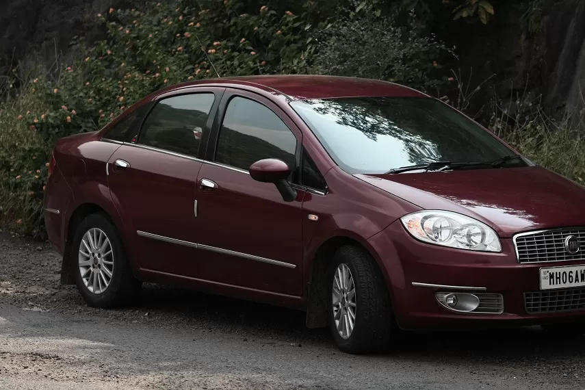 Photo of Kaas Plateau of Flowers, Satara, Maharashtra, India by _itchyfeettrips