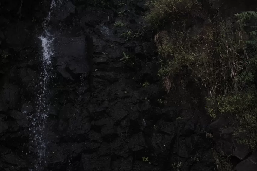 Photo of Kaas Plateau of Flowers, Satara, Maharashtra, India by _itchyfeettrips