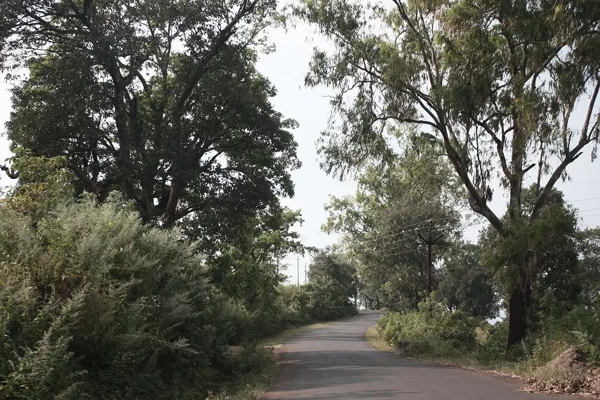 Photo of Kaas Plateau of Flowers, Satara, Maharashtra, India by _itchyfeettrips