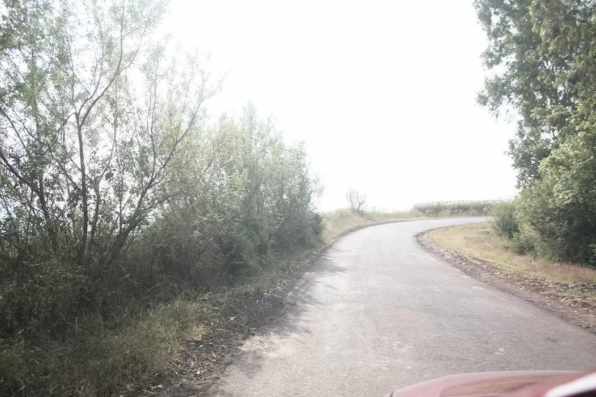 Photo of Kaas Plateau of Flowers, Satara, Maharashtra, India by _itchyfeettrips