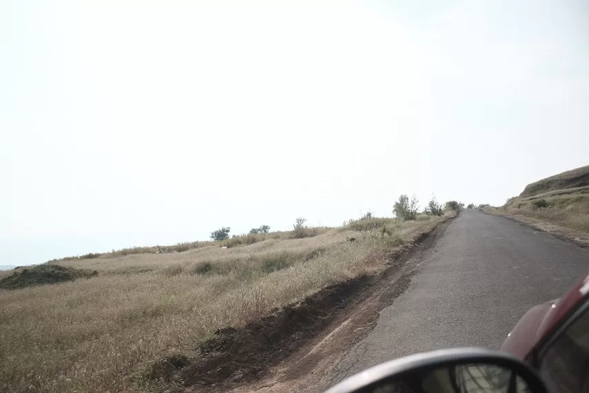 Photo of Kaas Plateau of Flowers, Satara, Maharashtra, India by _itchyfeettrips