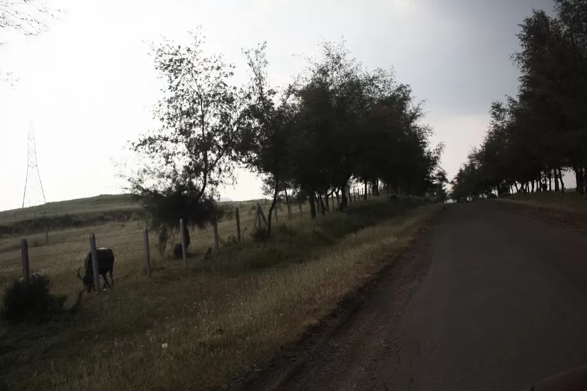 Photo of Kaas Plateau of Flowers, Satara, Maharashtra, India by _itchyfeettrips
