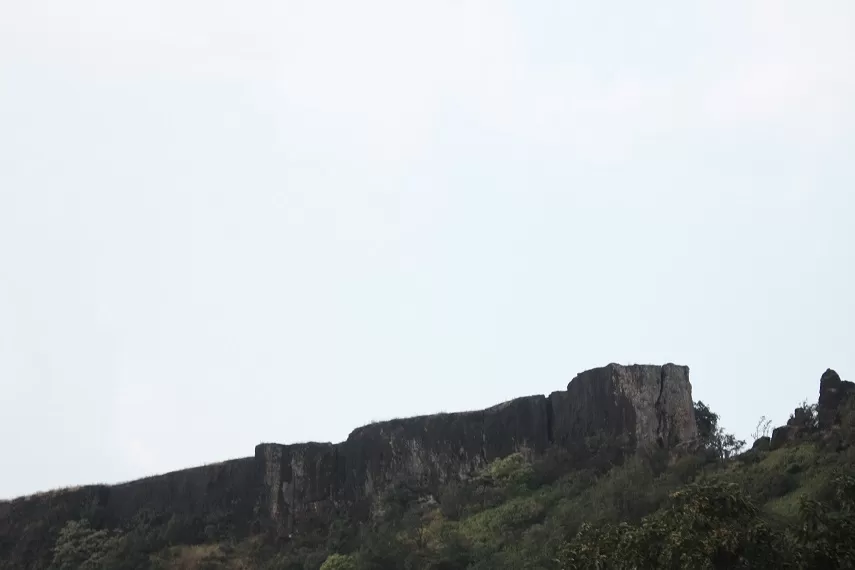 Photo of Kaas Plateau of Flowers, Satara, Maharashtra, India by _itchyfeettrips
