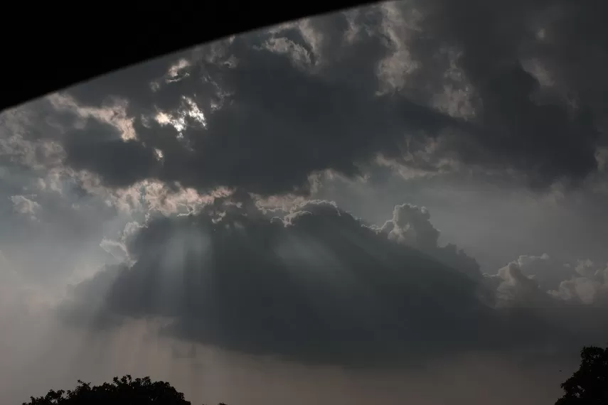 Photo of Kaas Plateau of Flowers, Satara, Maharashtra, India by _itchyfeettrips