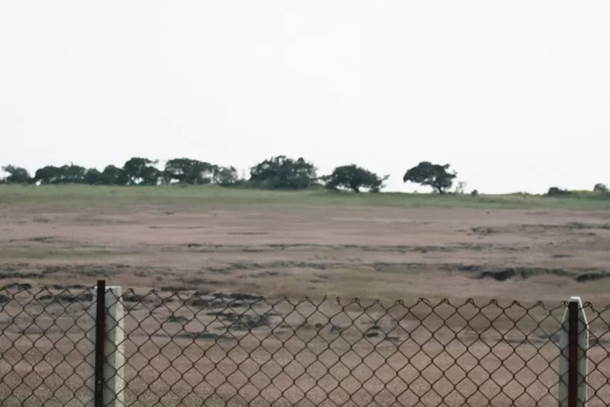 Photo of Kaas Plateau of Flowers, Satara, Maharashtra, India by _itchyfeettrips