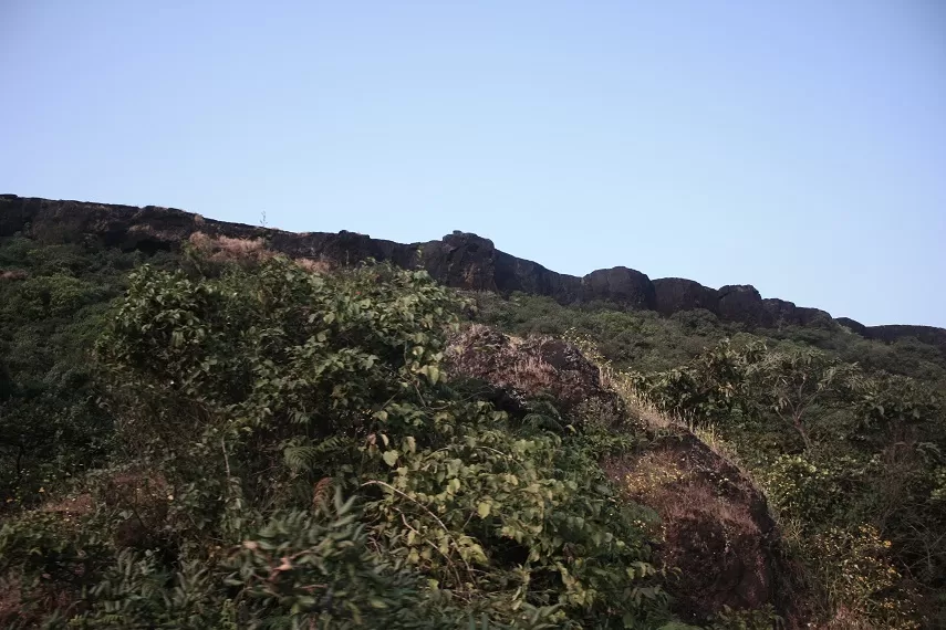 Photo of Kaas Plateau of Flowers, Satara, Maharashtra, India by _itchyfeettrips
