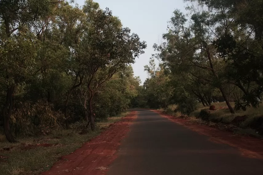 Photo of Kaas Plateau of Flowers, Satara, Maharashtra, India by _itchyfeettrips