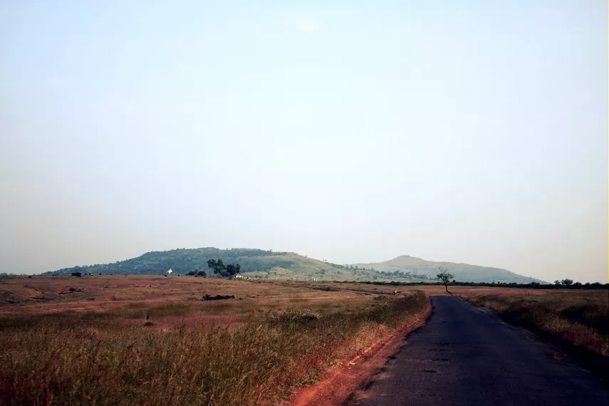 Photo of Kaas Plateau of Flowers, Satara, Maharashtra, India by _itchyfeettrips