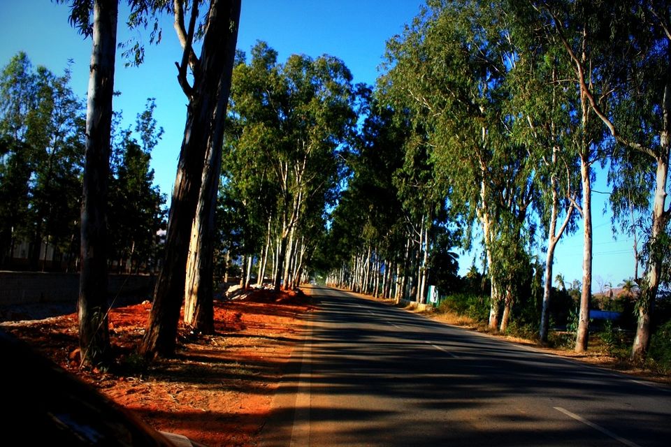 Photo of Nandi Hills - Short drive from Bangalore (Photo Blog) 8/36 by _itchyfeettrips