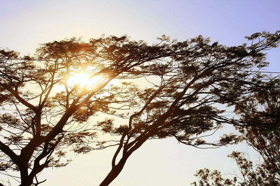 Photo of Nandi Hills - Short drive from Bangalore (Photo Blog) 10/36 by _itchyfeettrips