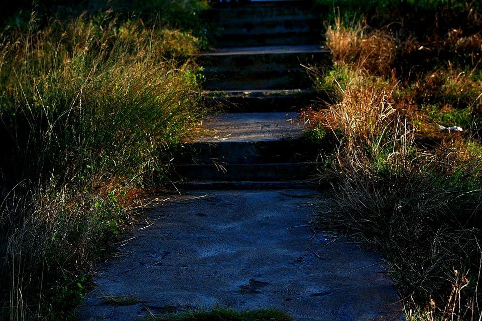 Photo of Nandi Hills - Short drive from Bangalore (Photo Blog) 16/36 by _itchyfeettrips