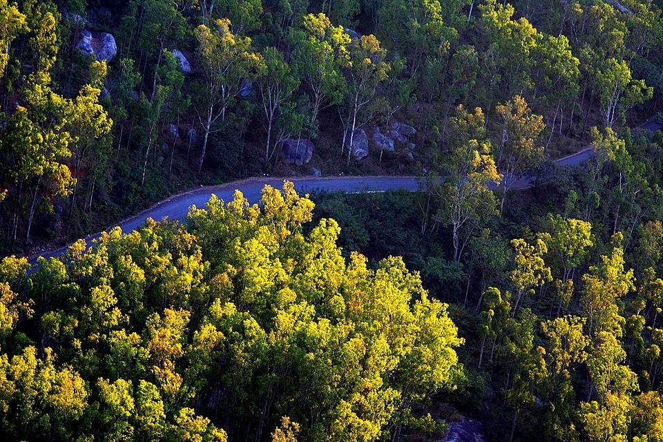 Photo of Nandi Hills - Short drive from Bangalore (Photo Blog) 24/36 by _itchyfeettrips