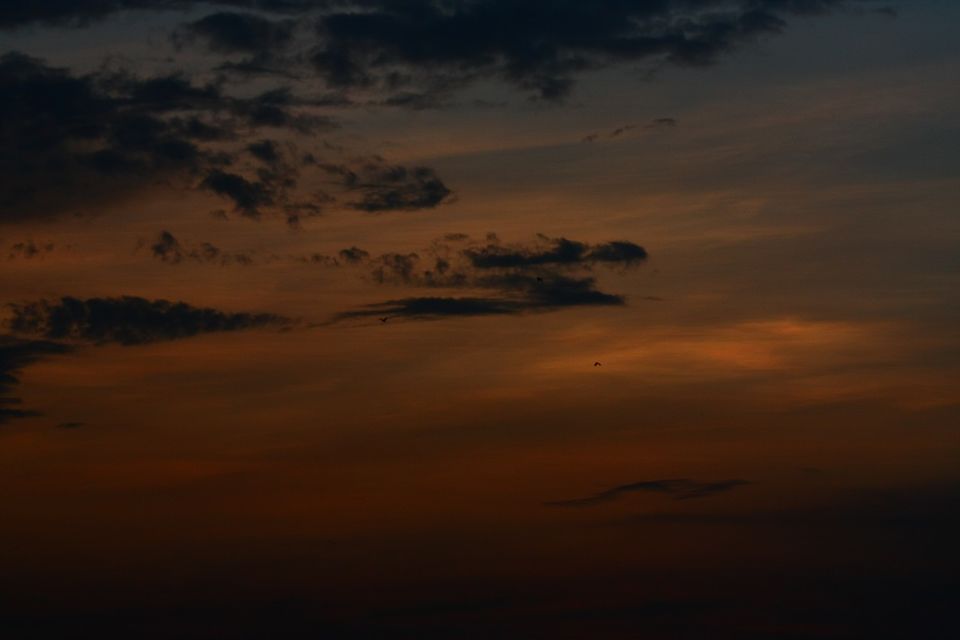 Photo of Nandi Hills - Short drive from Bangalore (Photo Blog) 30/36 by _itchyfeettrips