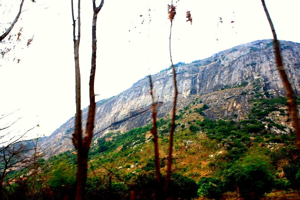 Photo of Nandi Hills - Short drive from Bangalore (Photo Blog) 31/36 by _itchyfeettrips
