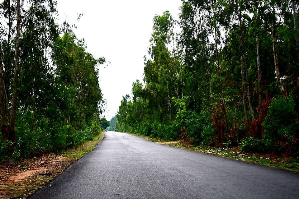 Photo of Nandi Hills - Short drive from Bangalore (Photo Blog) 32/36 by _itchyfeettrips
