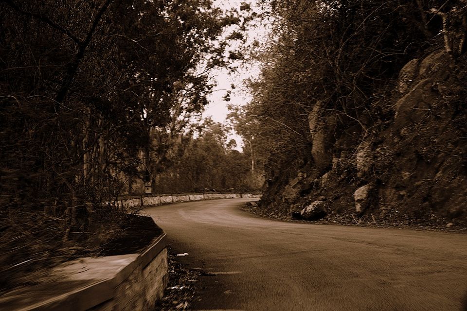 Photo of Nandi Hills - Short drive from Bangalore (Photo Blog) 33/36 by _itchyfeettrips