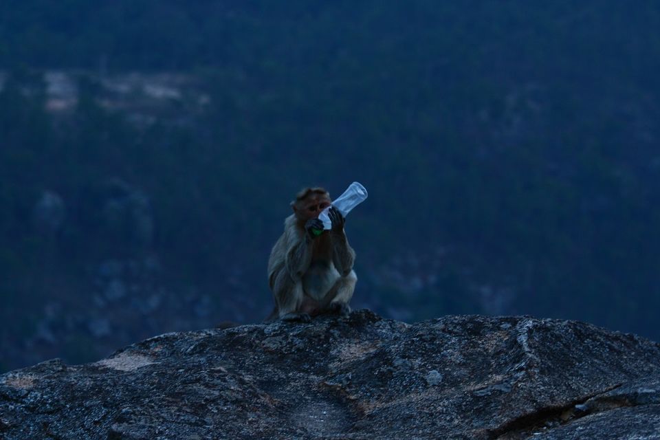 Photo of Nandi Hills - Short drive from Bangalore (Photo Blog) 36/36 by _itchyfeettrips