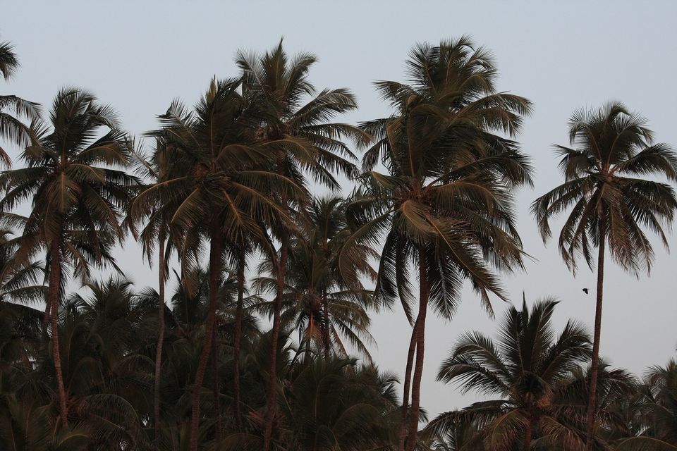 Photo of Weekend Getaway - Kashid Beach (Photo Blog) 22/39 by _itchyfeettrips