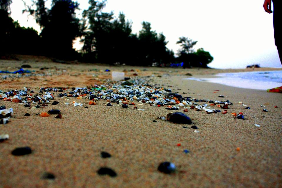 Photo of Weekend Getaway - Kashid Beach (Photo Blog) 26/39 by _itchyfeettrips