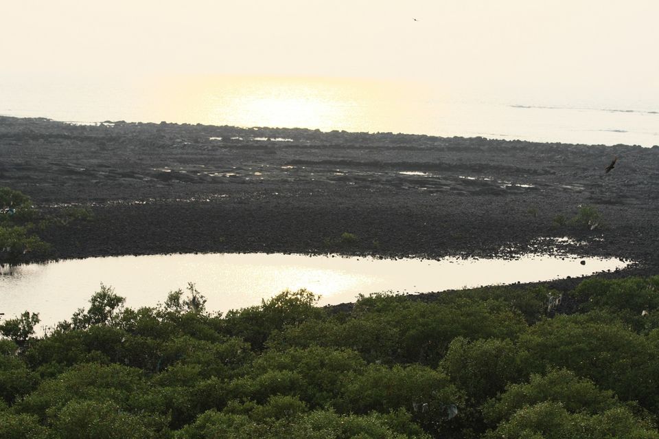 Photo of Sunset @ Alibaug beach 9/32 by _itchyfeettrips