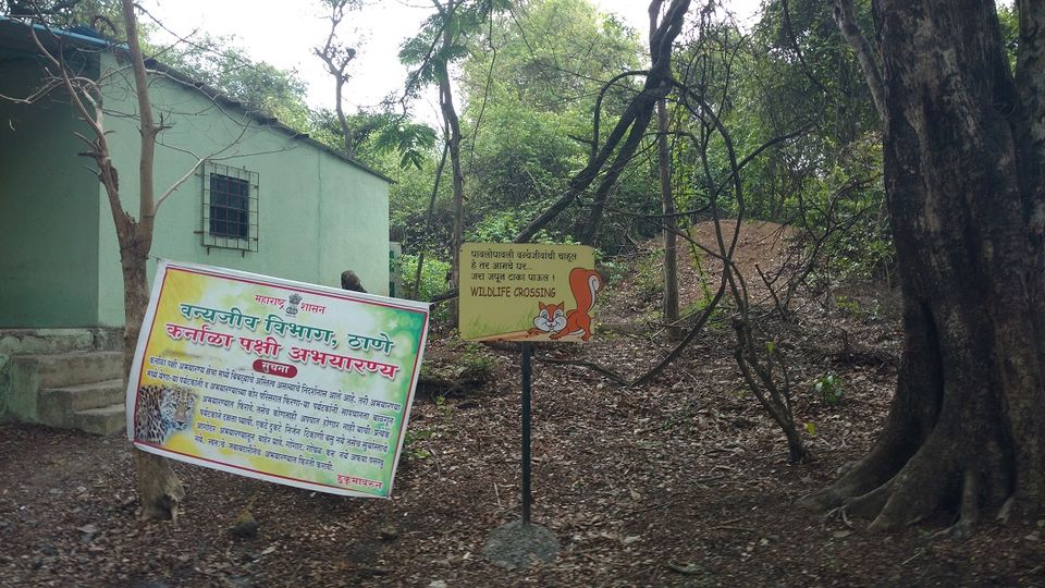 Photo of Karnala the Fort and Not so Bird Sanctuary 4/58 by _itchyfeettrips