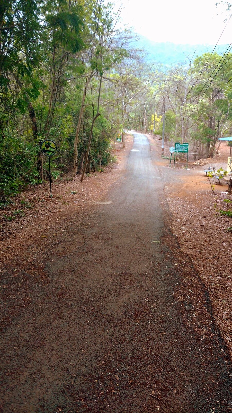 Photo of Karnala the Fort and Not so Bird Sanctuary 5/58 by _itchyfeettrips