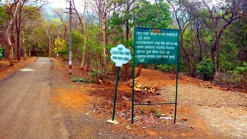 Photo of Karnala the Fort and Not so Bird Sanctuary 6/58 by _itchyfeettrips